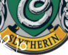 Slytherin badge (R)