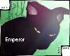 {e.e} Black Cat