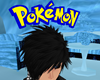 Pokemon Head Sign