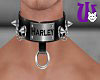 Chained Collar Harley cs
