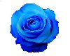 Blue Rose Marker