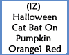 Cat Bat On Pumpkins O1R
