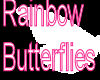 Rainbow Butterflies