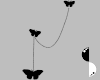 Butterfly Noir Earrings