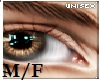 Unisex Caramell Eyes