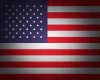 MsD USA Wall Flag