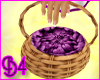 *B4* Blueberries Basket