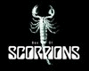 Scorpions Remix