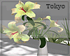 Lilium modern vase