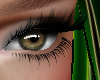 Tree Green eyes 2024