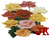 Multicolor Roses 01
