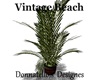 vintage beach plant