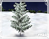 !Snow covered fir tree