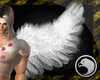 [8Q] Cupid Wings M/F