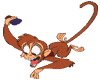Animated-Monkey