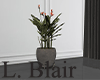 Plant. | V2