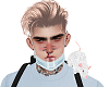 . Steve Blonde