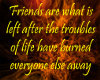 Friends Are