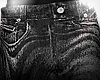 ✦ Urban