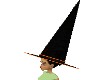 Witches Hat L *F