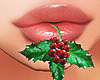 Santa Baby Mistletoe
