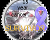 15 year cancer survivor