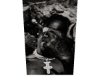 cutout trapper