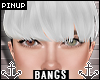 ⚓ | Ava Bangs Snow