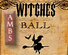 The Witches Ball Sign
