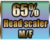 Head scaler 65%