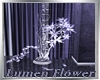 {M}Lumen Flower