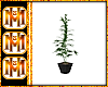 {MH3} Herb Plant 1