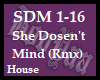 She Dosen't Mind (Rmx)