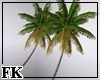 [FK] Palm Tree 02