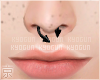 京 Septum Spike