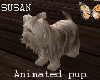 Susan   Animated pup
