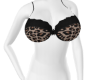 {YNRI} Diva Bra Bl