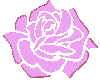 flower-x