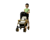 Black & Gold Stroller