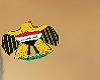 iraq badge