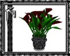 Red Lily Black Pot