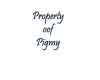 Property of Pigmy
