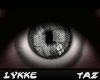 Ly~ Gray Effective Eye
