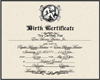 Certificado (BabyEros)
