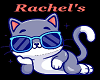 Rachel's  Cat