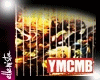 EL|YMCMB.Collage Frame!