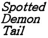 (DF) Demon Tail - Spot'd
