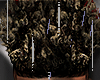 Rugged Fro 3/3
