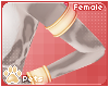 [Pets] Bonni |body cuffs