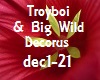 Music Troyboi & Big Wild